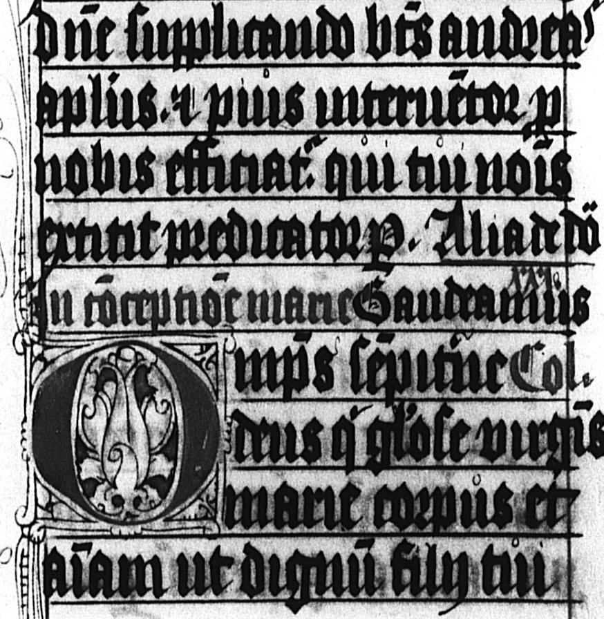 Propstei St . Remigius, Borken, Germany